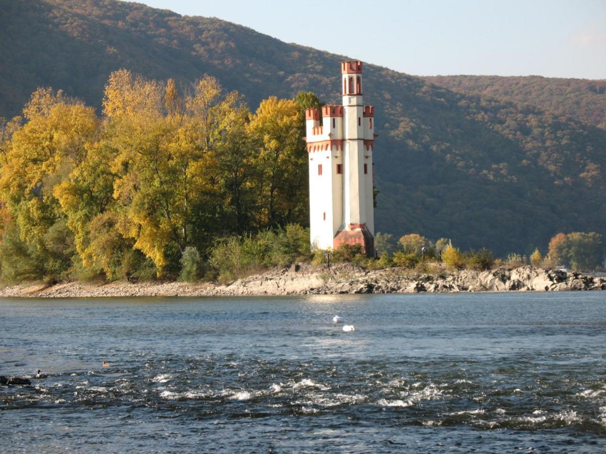 Helle Fewo, 60 Qm, Souterrain, Eigener Eingang, Rhein Und Nahe Bingen am Rhein Esterno foto